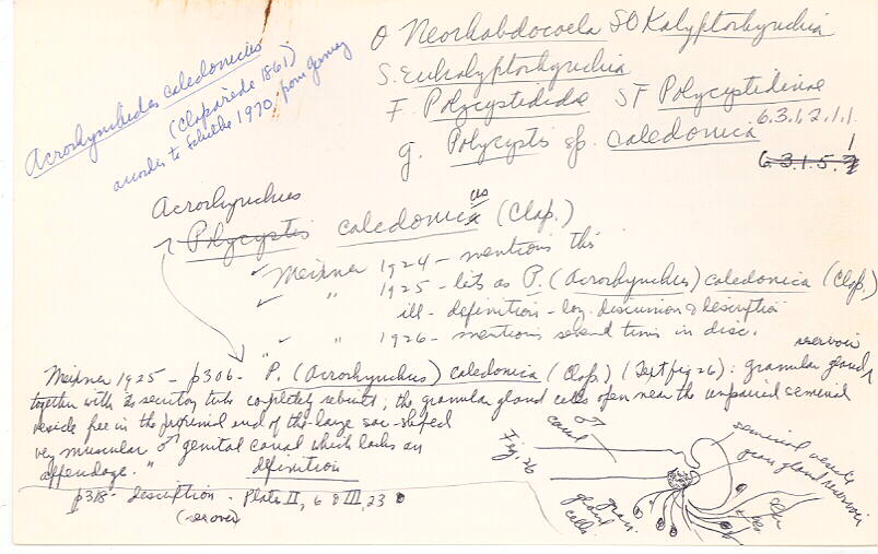 index card