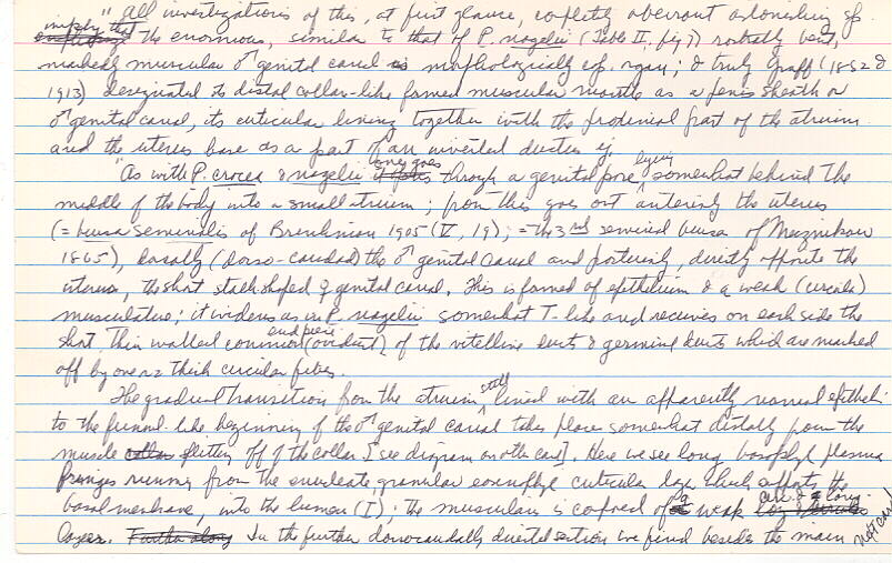 index card