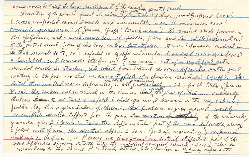 index card