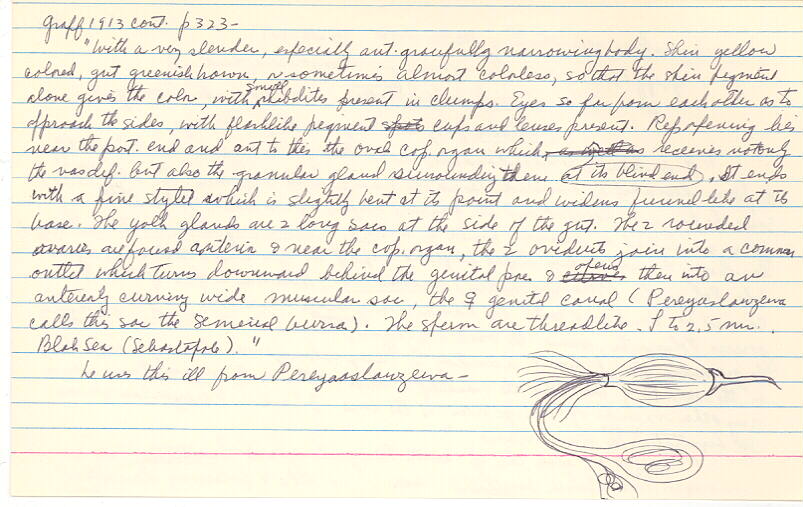 index card