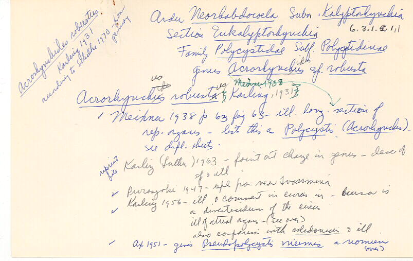 index card