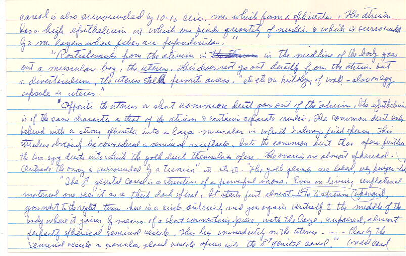 index card