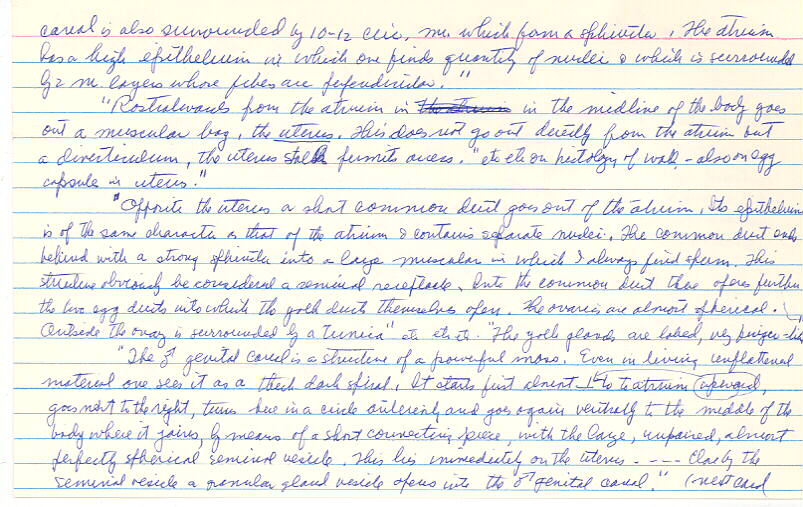 index card