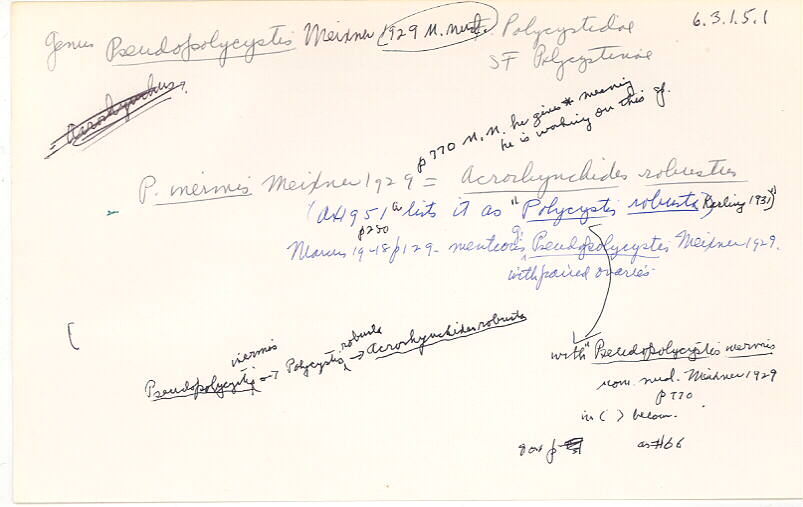 index card