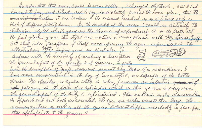 index card