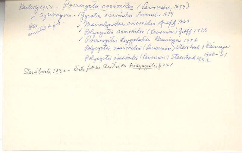 index card