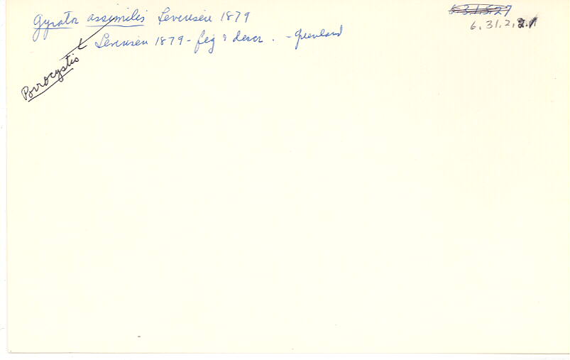index card