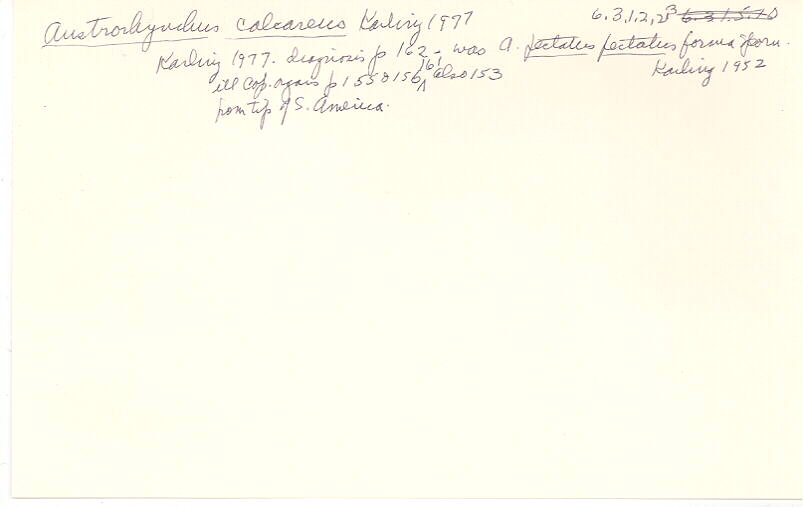 index card