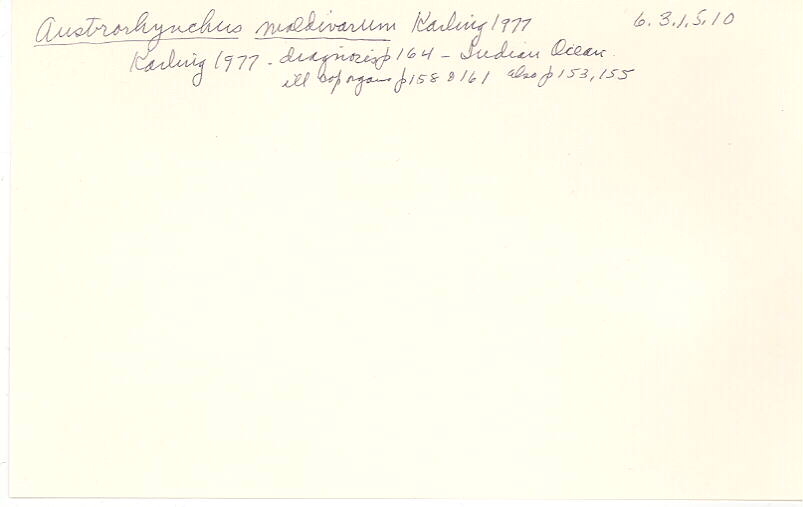 index card