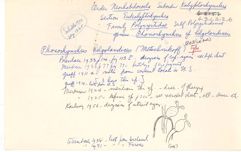 index card