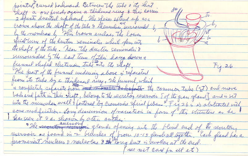 index card