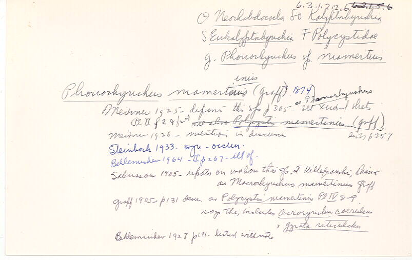 index card