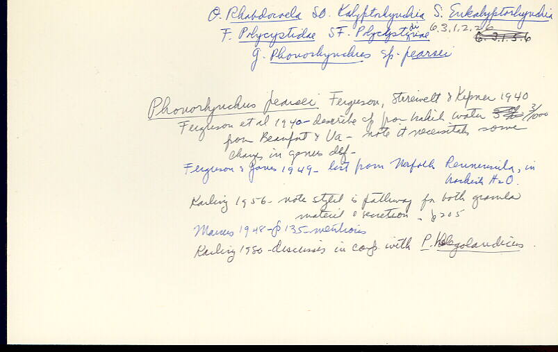 index card