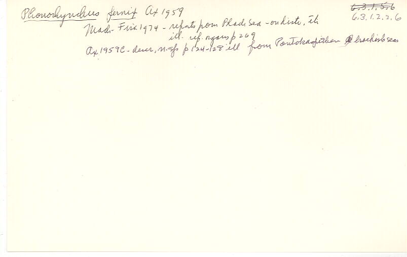 index card
