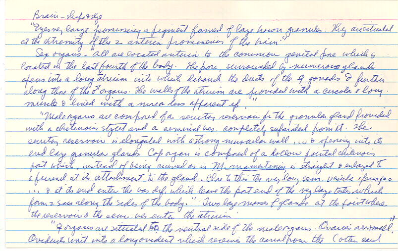 index card