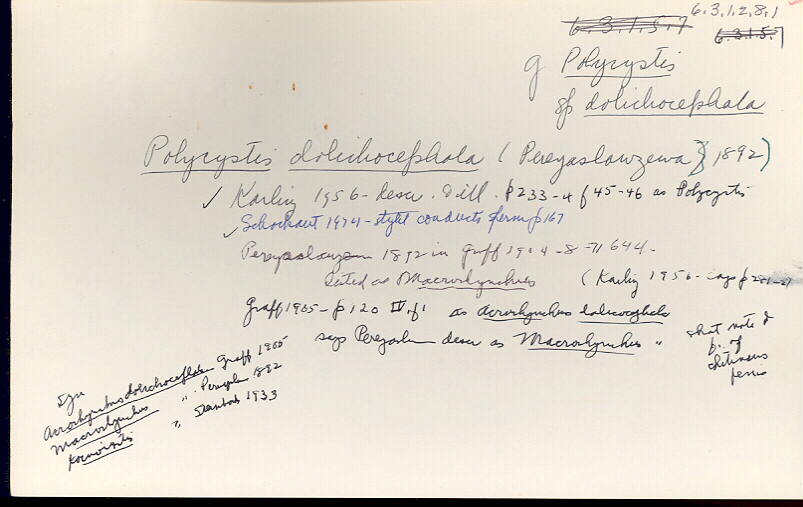 index card