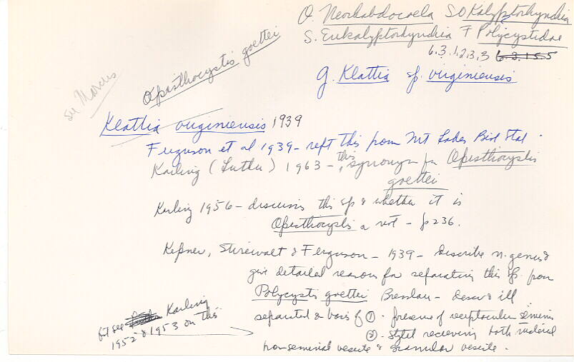 index card