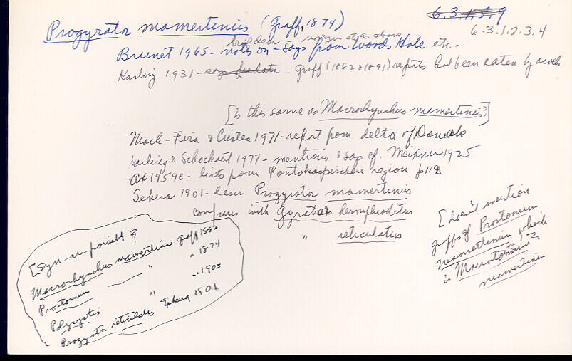 index card