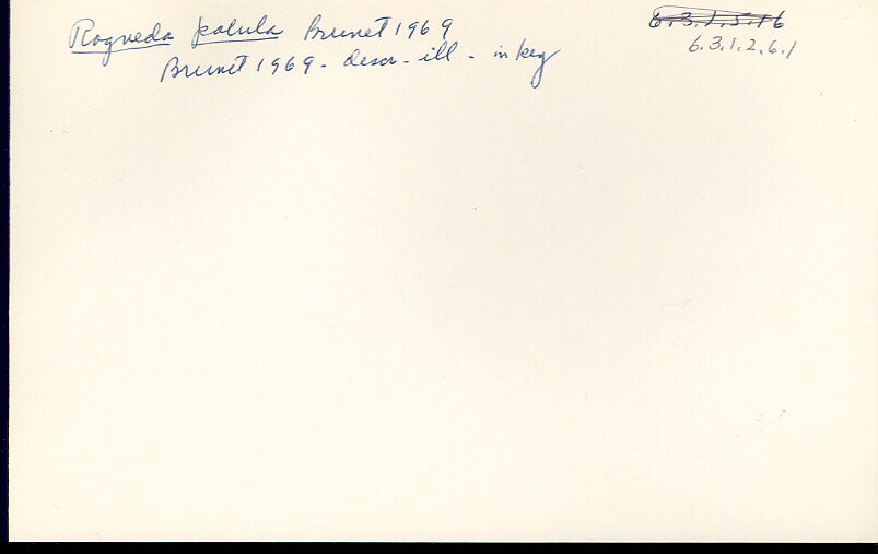 index card