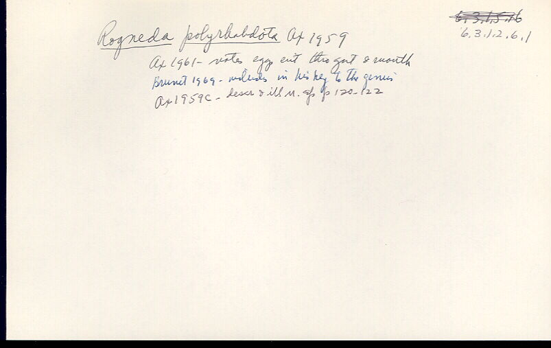 index card