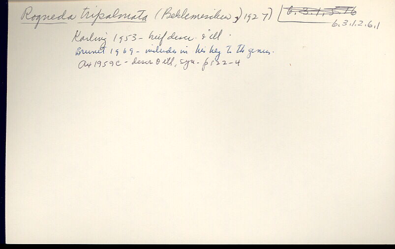 index card