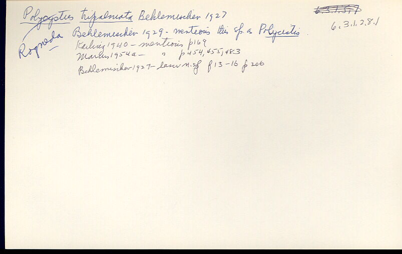 index card