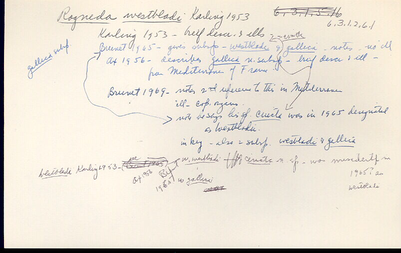 index card