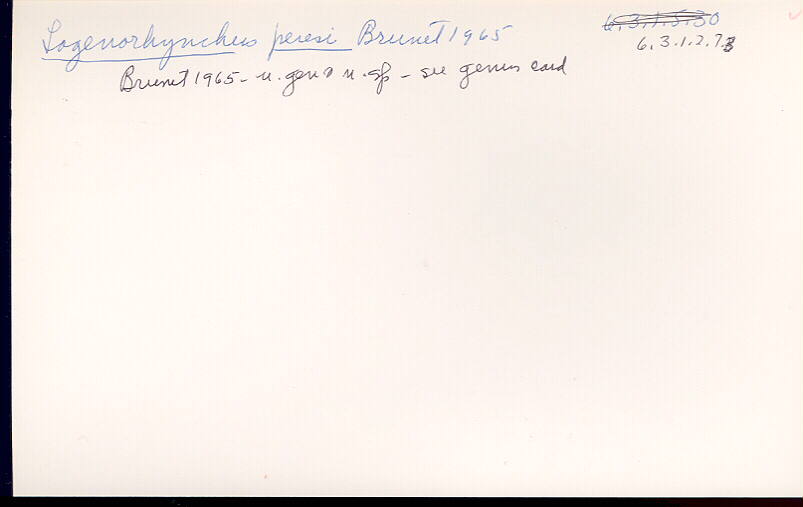 index card