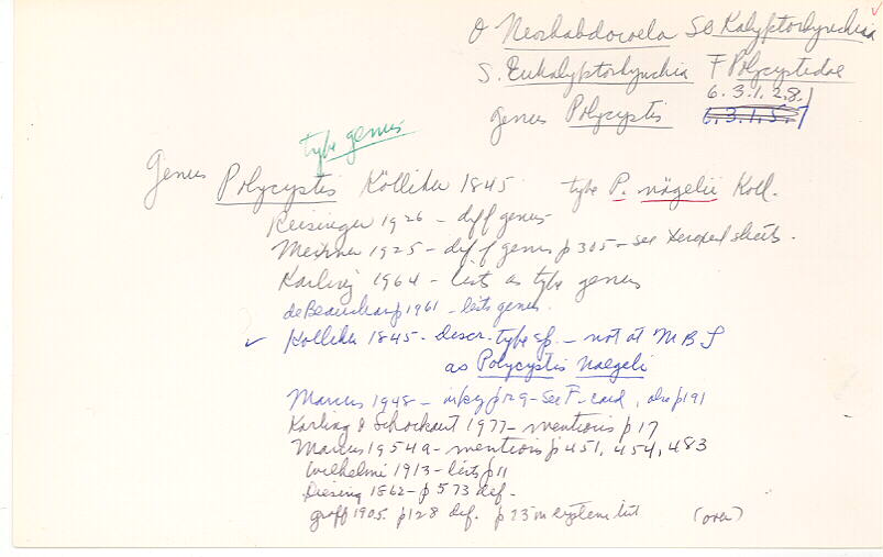 index card