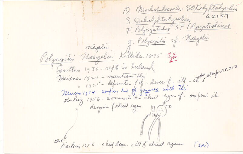 index card