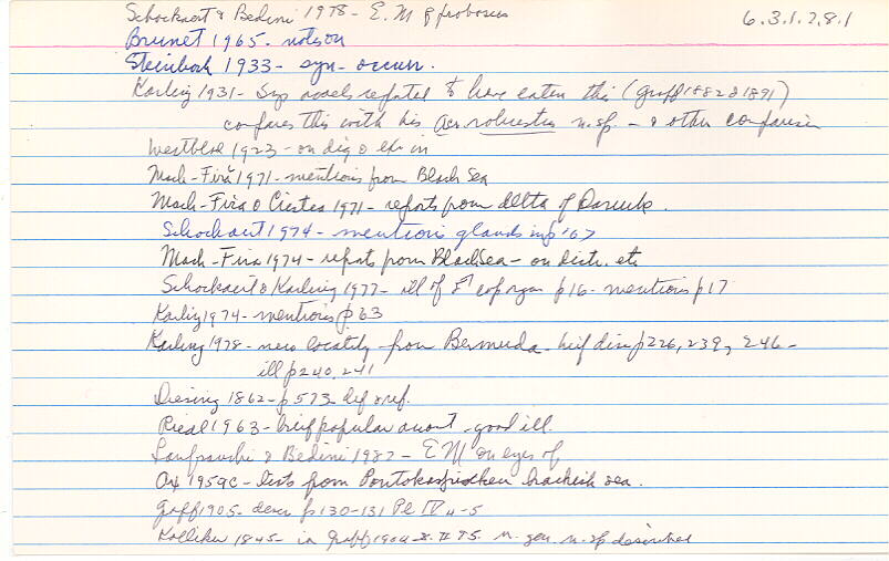index card