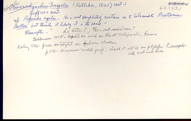 index card