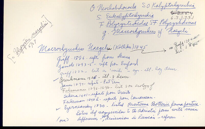 index card