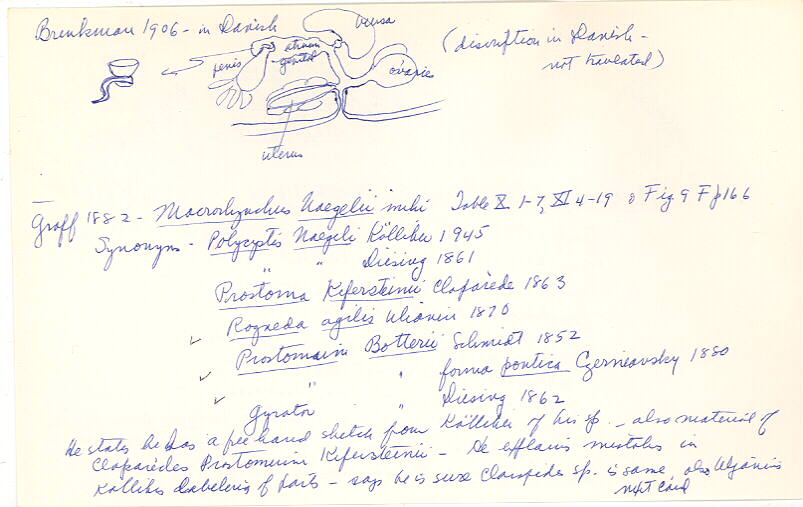 index card