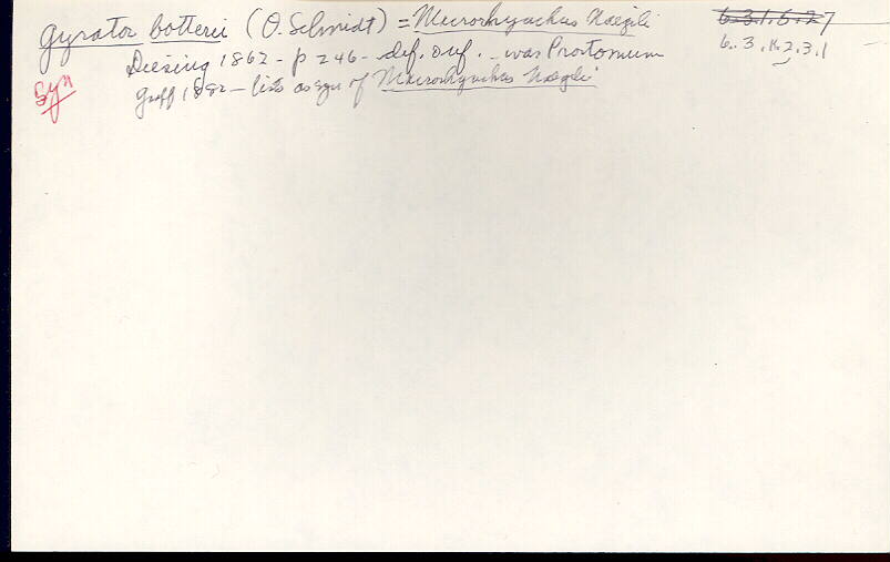 index card