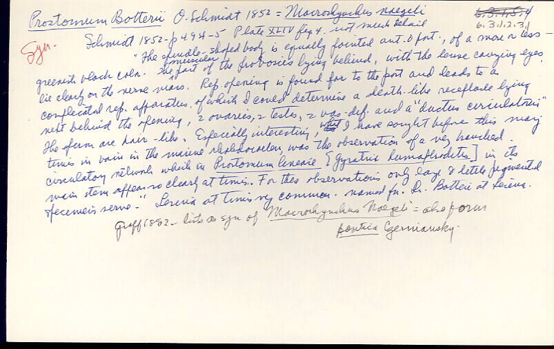 index card