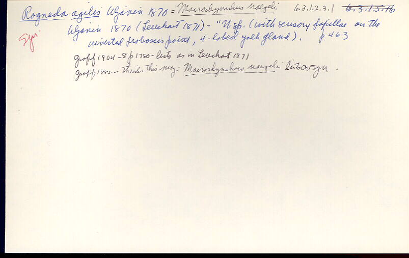 index card