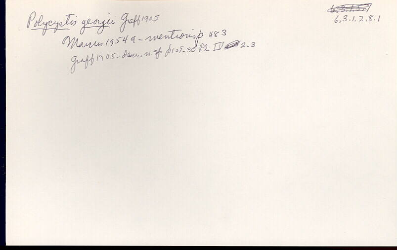 index card