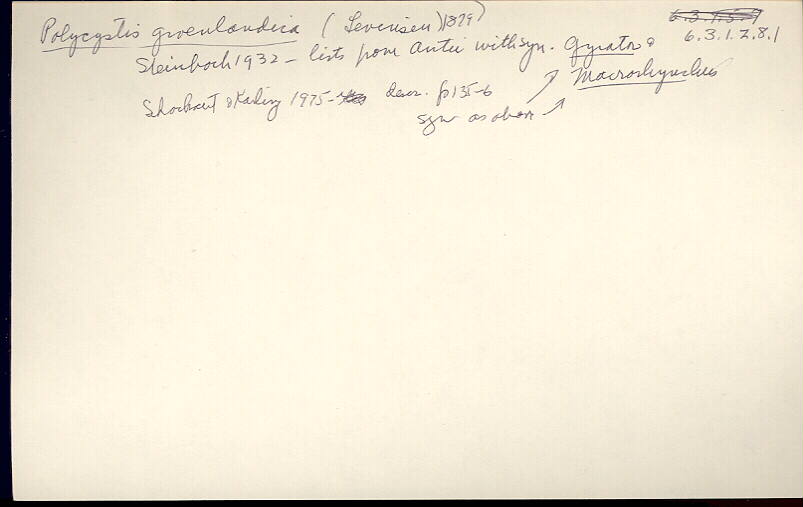 index card