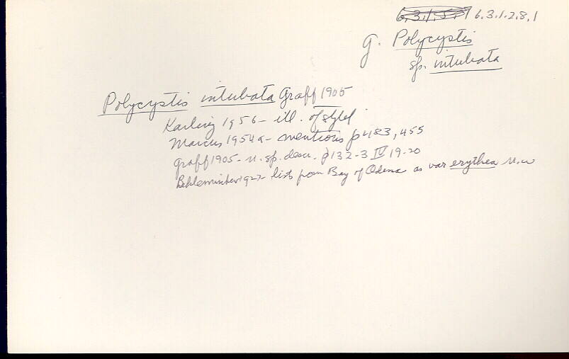 index card