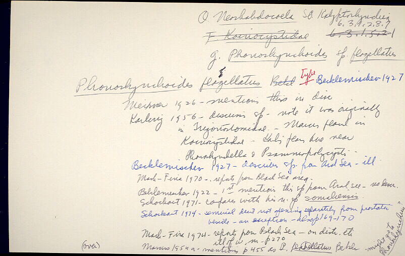 index card