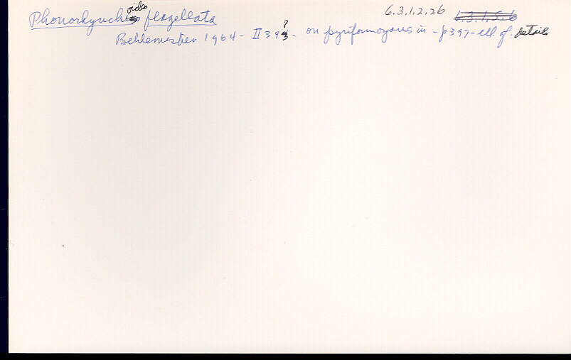 index card