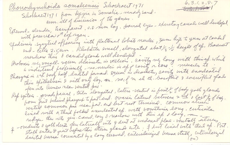 index card