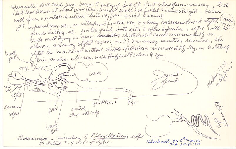 index card
