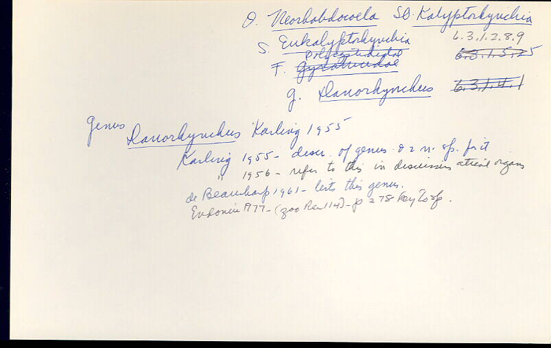 index card