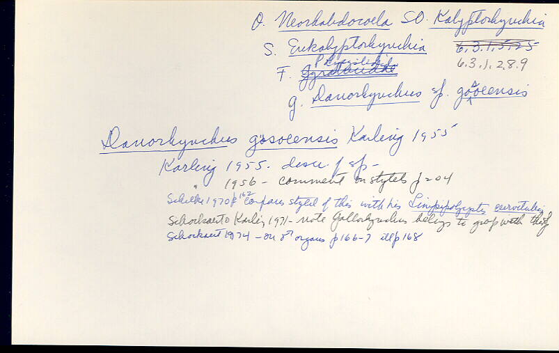 index card