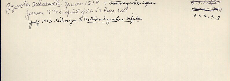 index card