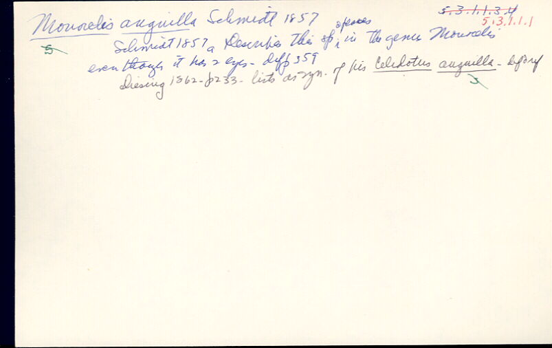 index card