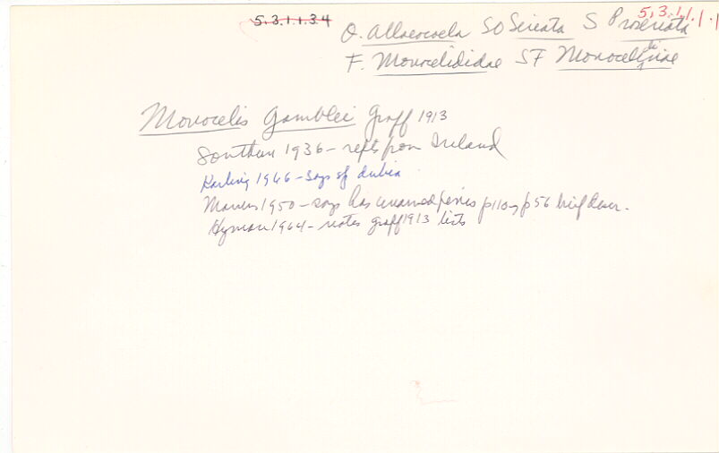 index card