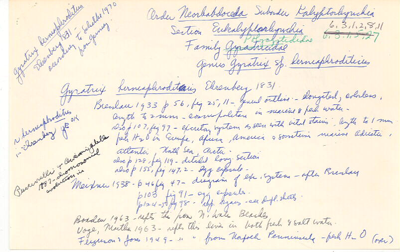 index card